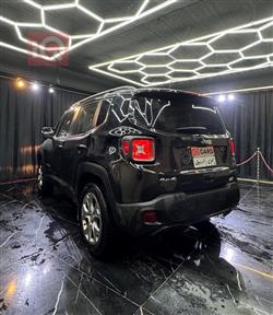 جيب رينيجيد